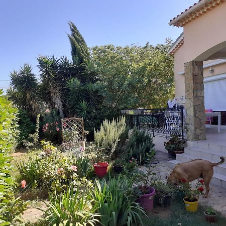 Villa Sans Souci Et Agreable La Seyne-sur-Mer Εξωτερικό φωτογραφία